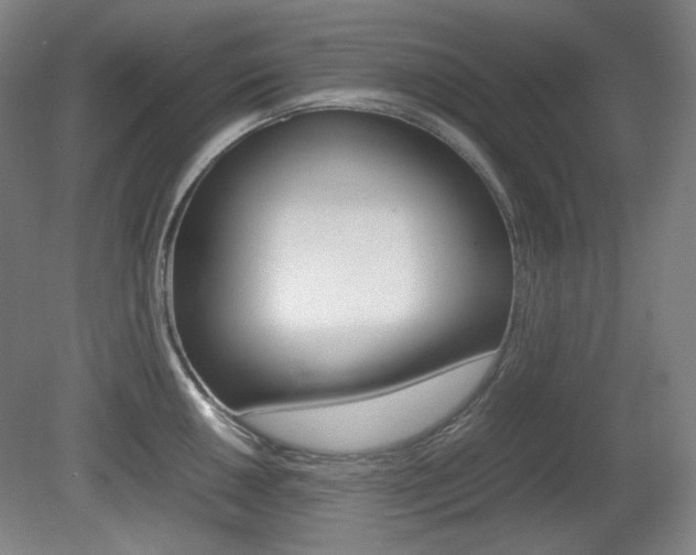 X0000080781050200612151027