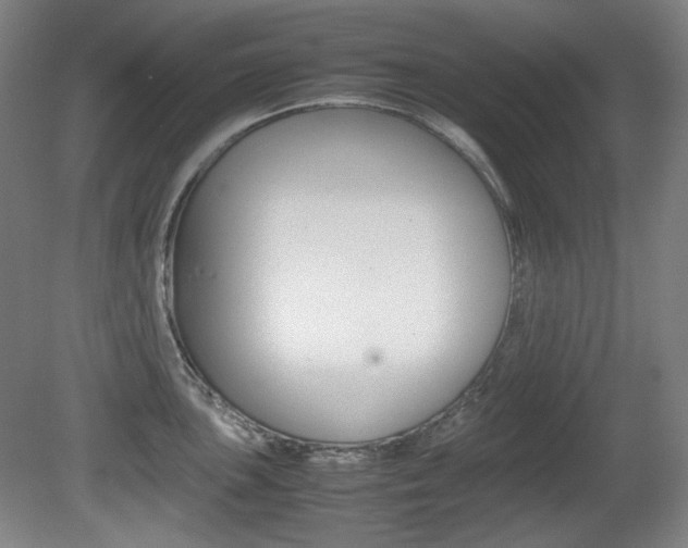 X0000080781051200612151027