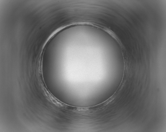X0000080781052200612151027