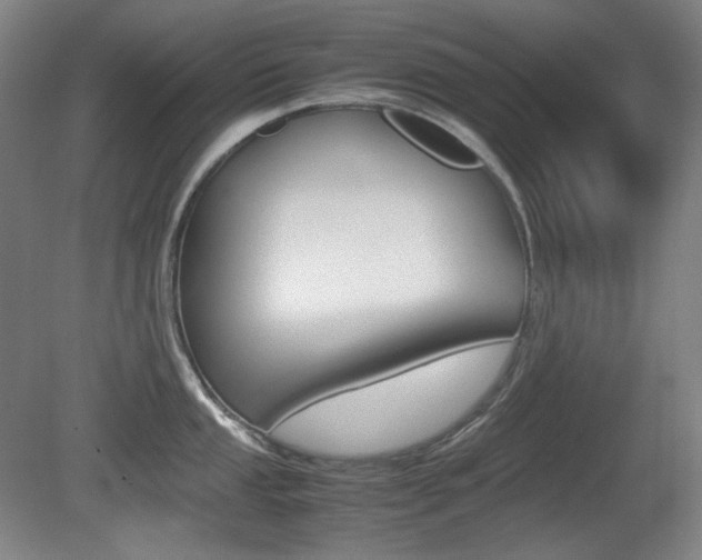 X0000080781053200612151027