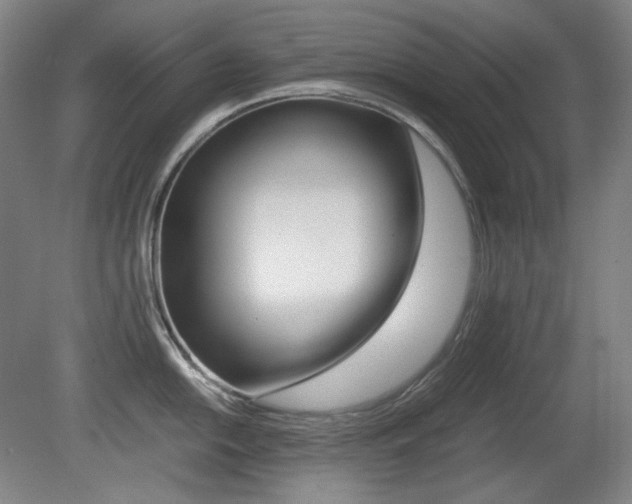 X0000080781054200612151027