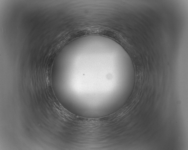 X0000080781058200612151026