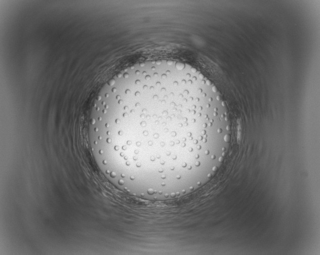X0000080781059200612151026