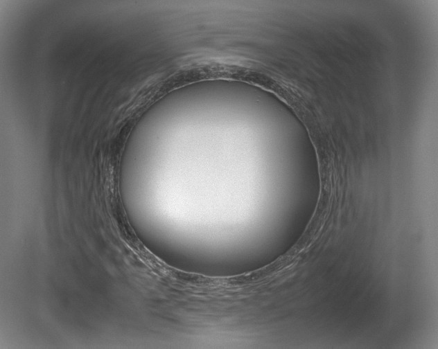 X0000080781061200612151026