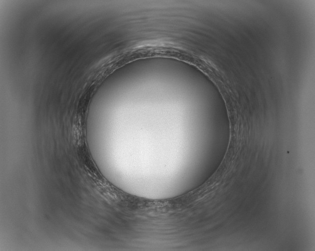 X0000080781062200612151026