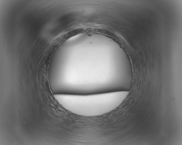 X0000080781063200612151026
