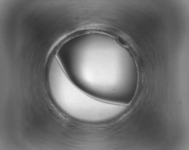 X0000080781069200612151026