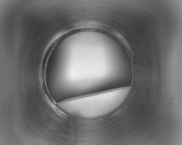 X0000080781072200612151026