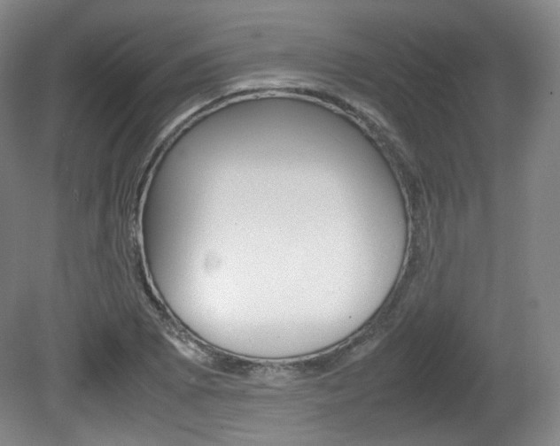 X0000080781073200612151026