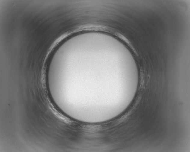 X0000080781074200612151026