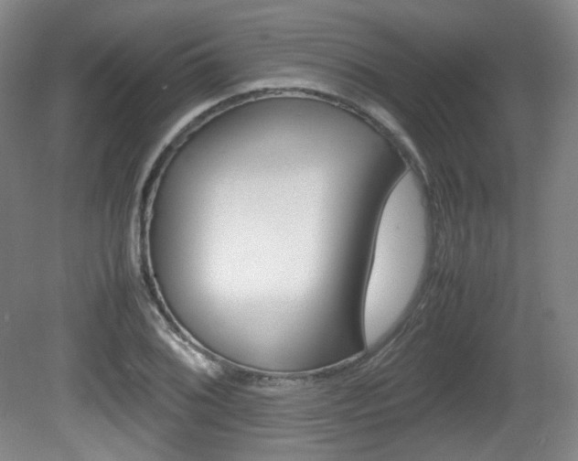 X0000080781076200612151026