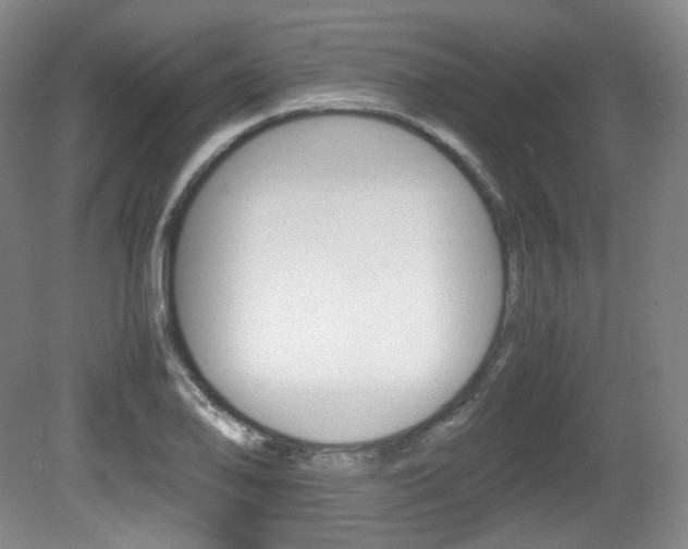 X0000080781078200612151026