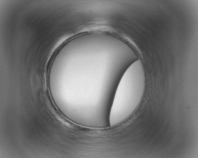 X0000080781079200612151026