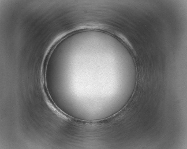 X0000080781080200612151026