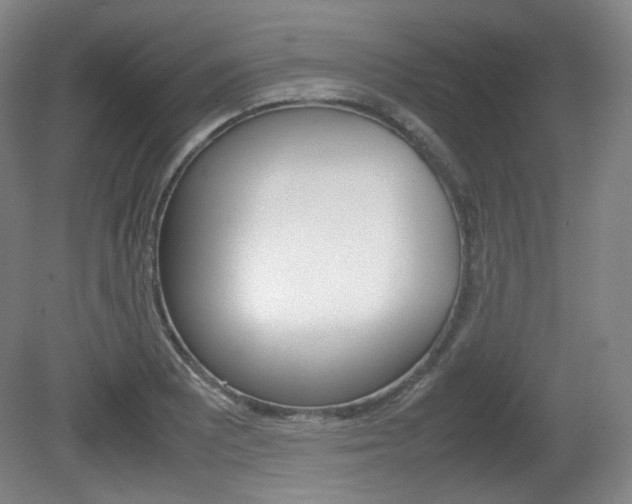 X0000080781081200612151026