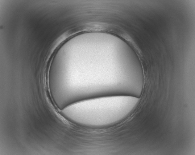 X0000080781083200612151025