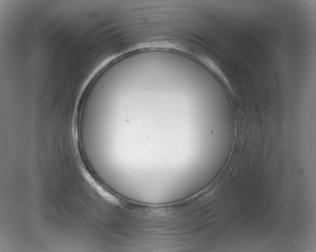 X0000080781084200612151025