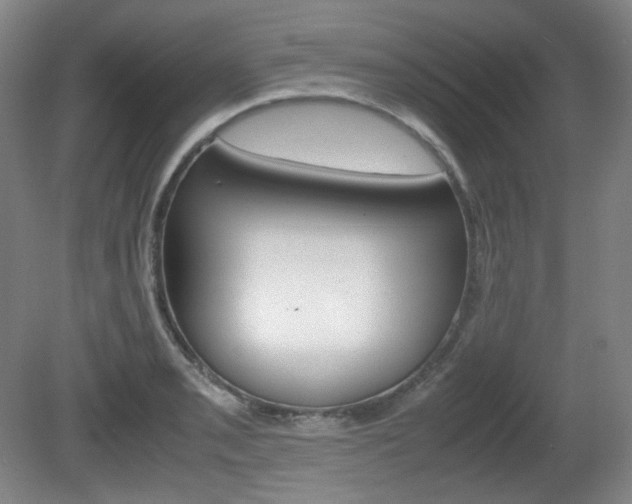 X0000080781085200612151025