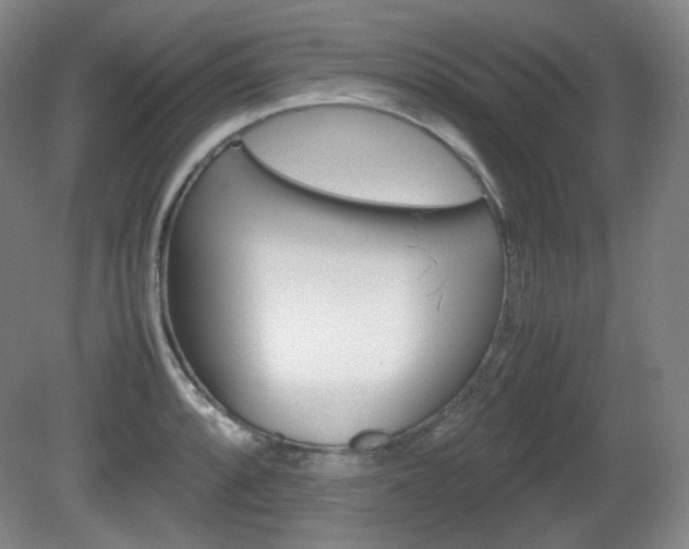 X0000080781088200612151025