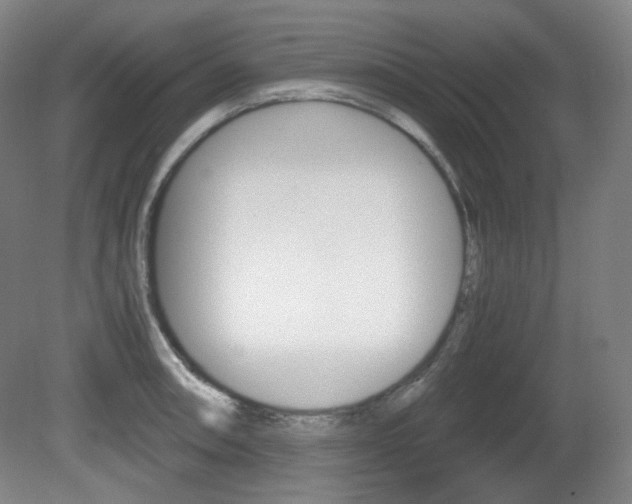 X0000080781090200612151025