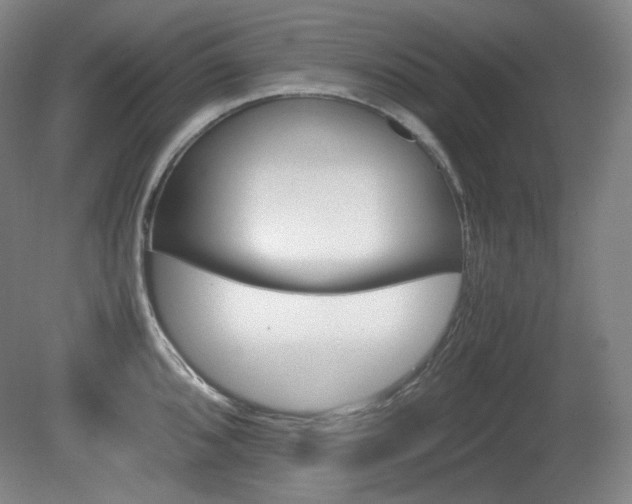 X0000080781096200612151025