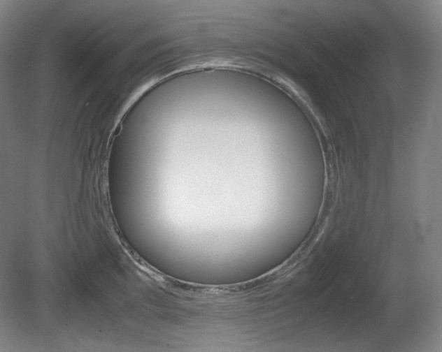 X0000080781097200612151025