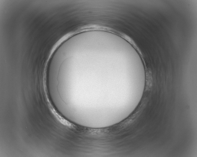 X0000080781098200612151025