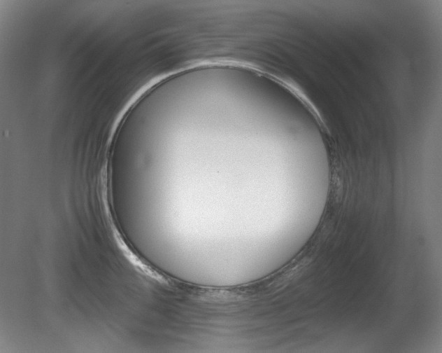 X0000080781100200612151025