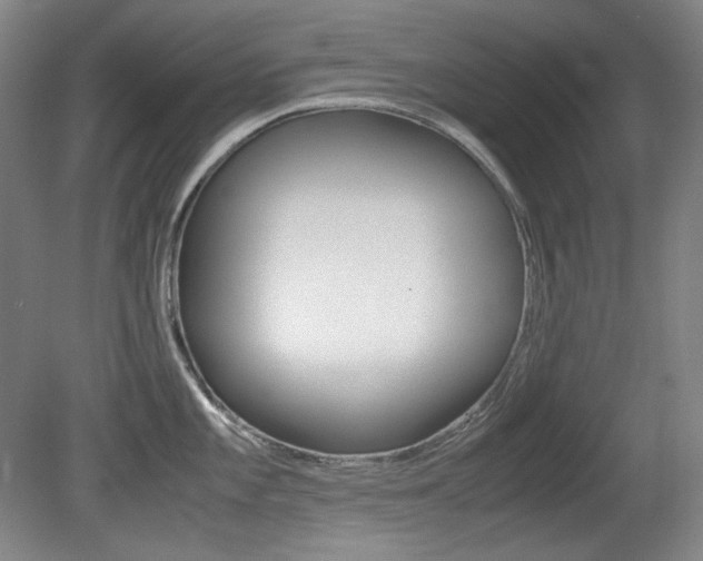 X0000080781101200612151025