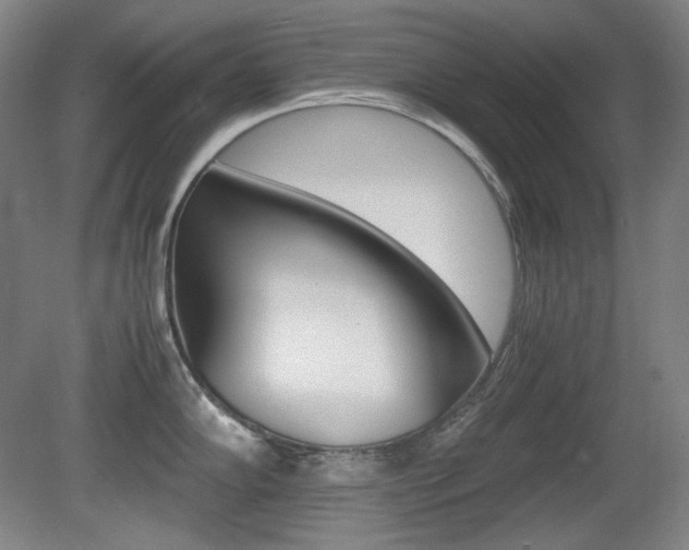 X0000080781102200612151025