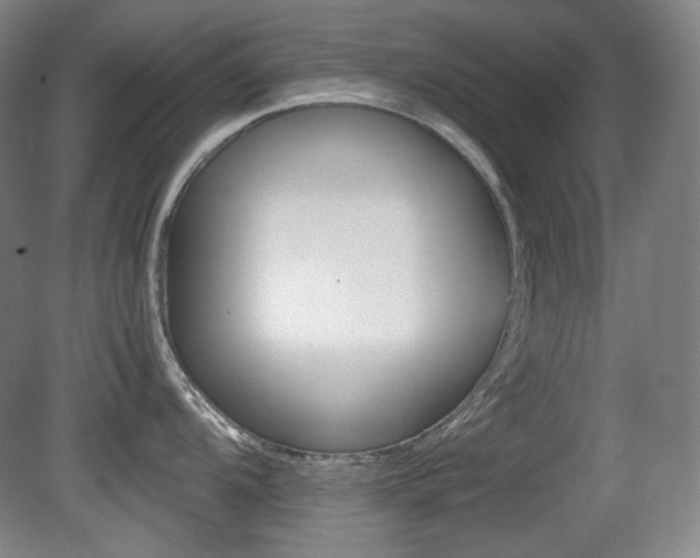 X0000080781104200612151025