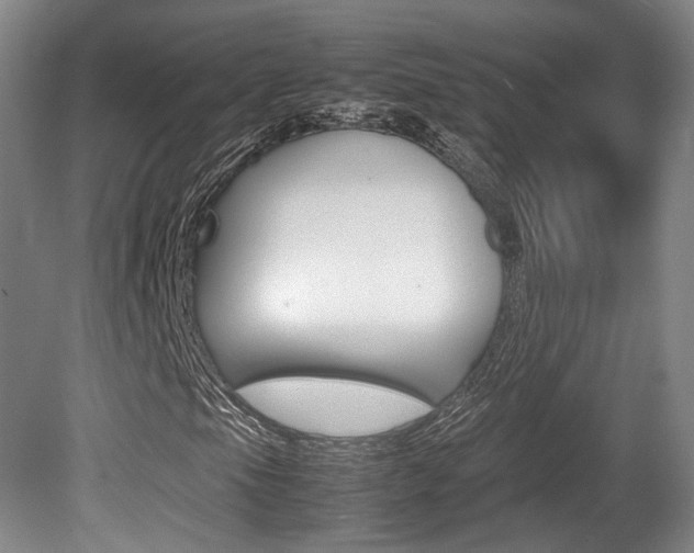 X0000080781105200612151024
