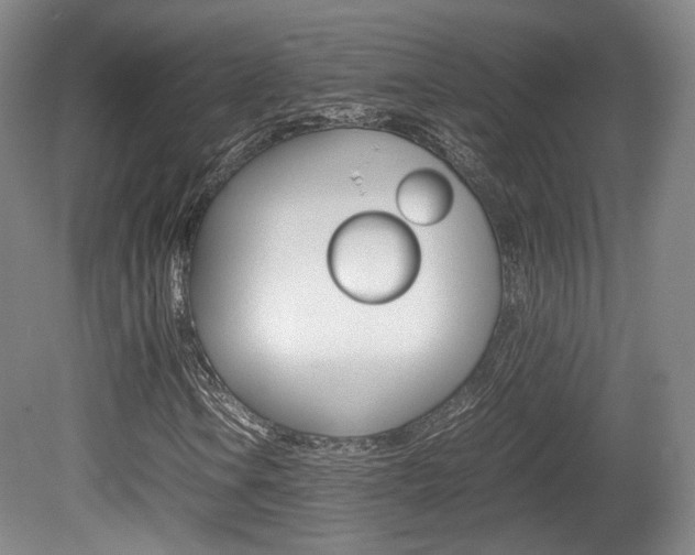 X0000080781106200612151024