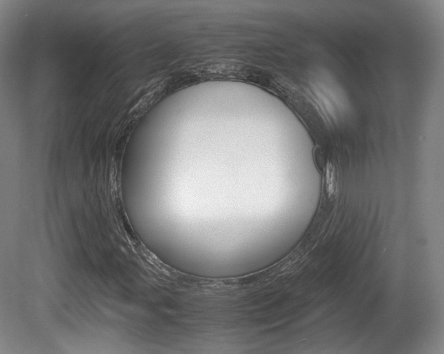 X0000080781107200612151024