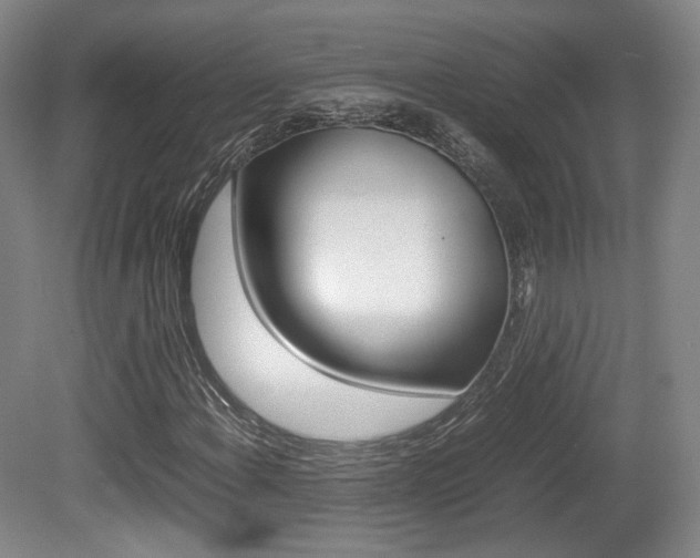 X0000080781108200612151024