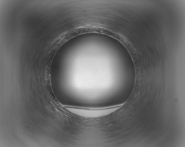 X0000080781110200612151024