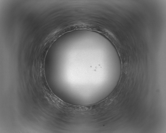 X0000080781111200612151024