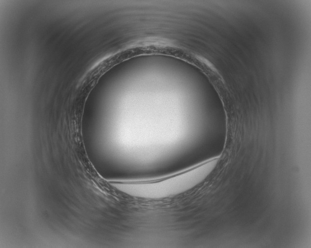 X0000080781112200612151024