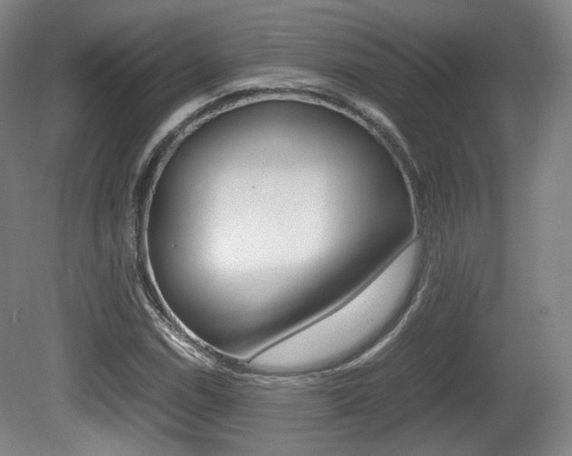 X0000080781114200612151024