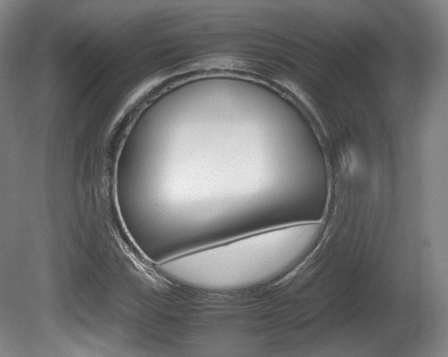 X0000080781115200612151024