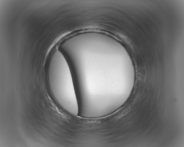 X0000080781117200612151025