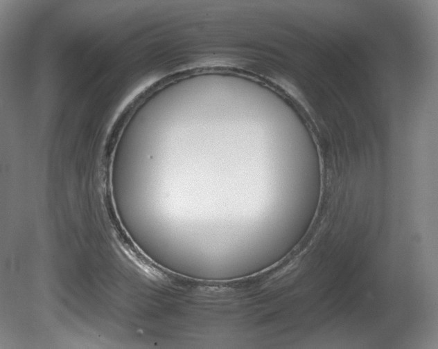 X0000080781119200612151025