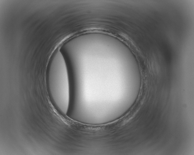 X0000080781121200612151025
