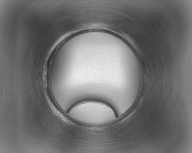 X0000080781126200612151025