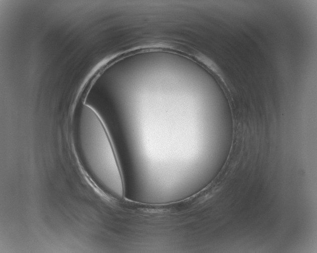 X0000080781127200612151025