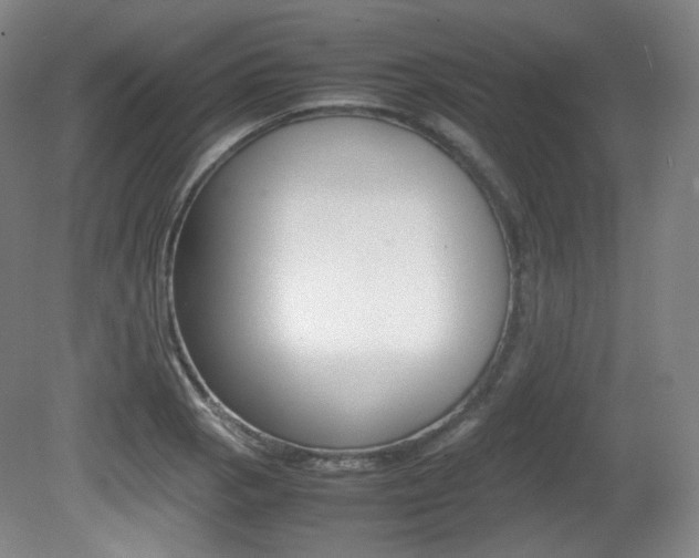 X0000080781129200612151025