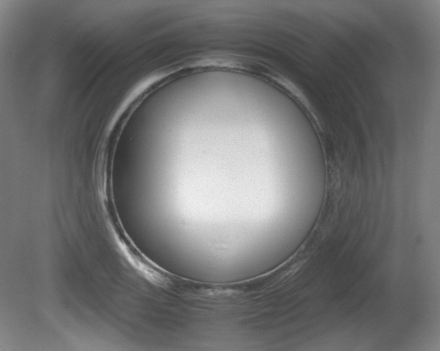 X0000080781131200612151025