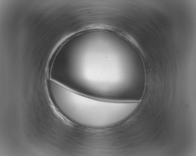 X0000080781132200612151025