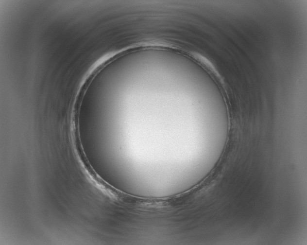 X0000080781133200612151025