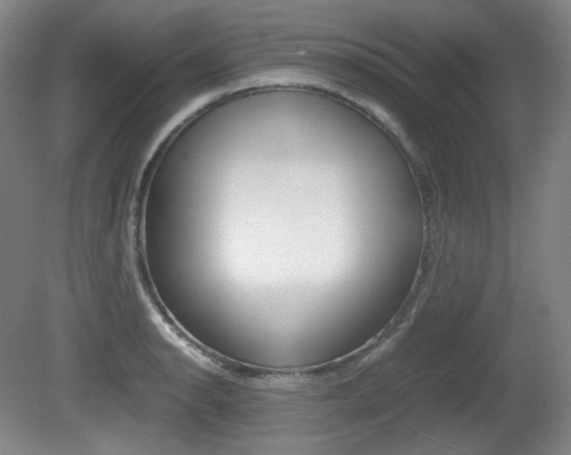 X0000080781134200612151025